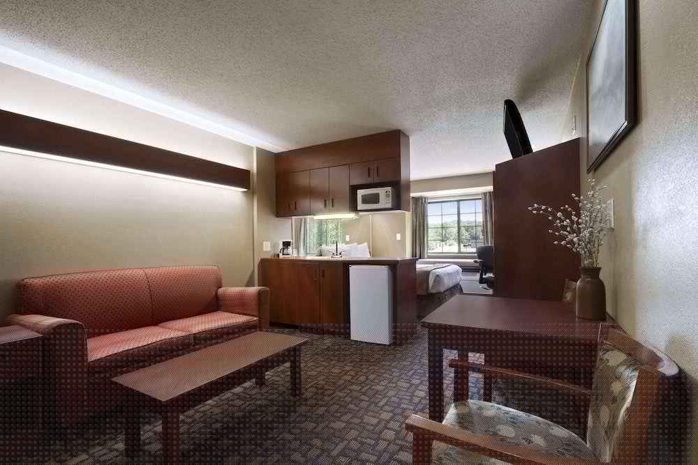 Microtel Inn & Suites by Wyndham Lithonia Stone Mountain - photo 14