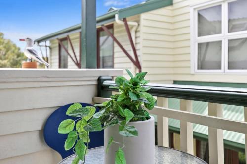 Cora Lynn 13 in Lorne, Australia