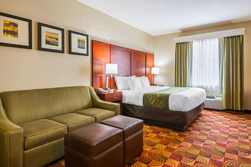 Comfort Suites Lake Charles - photo 22