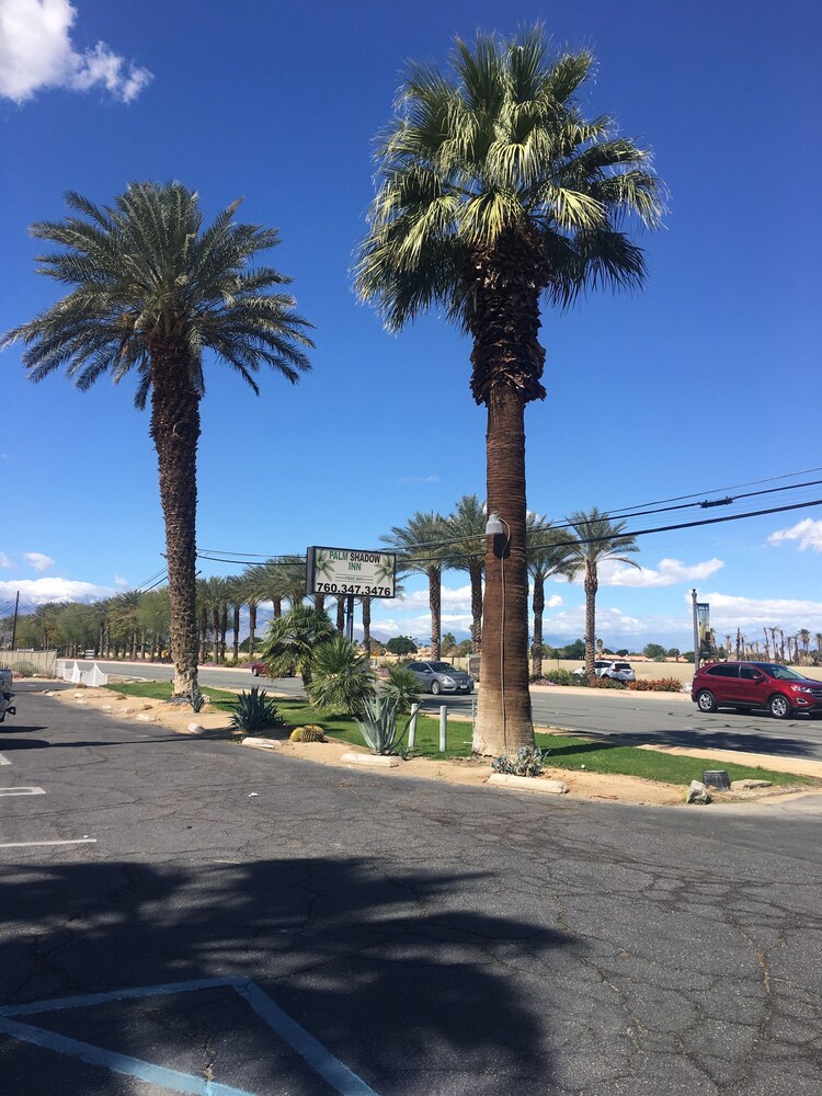 Palm Shadow Inn - photo 14