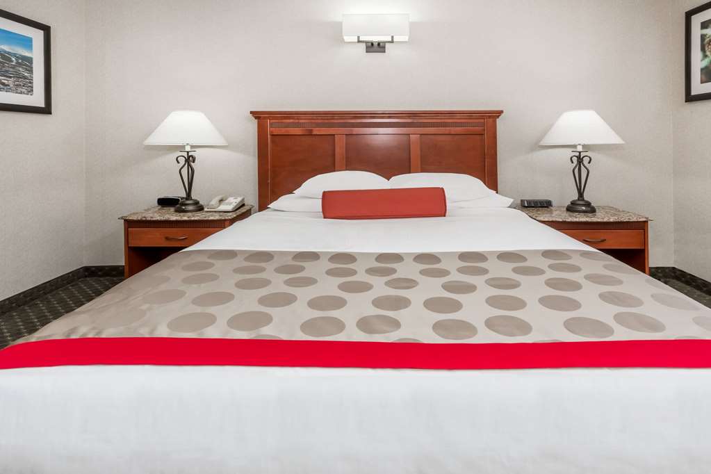 Ramada by Wyndham Frisco - photo 11