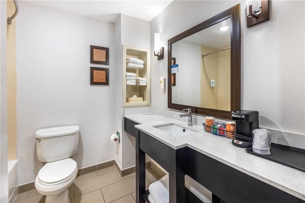 Comfort InnSuites ChattanoogaWest Lookout Mountain - photo 14
