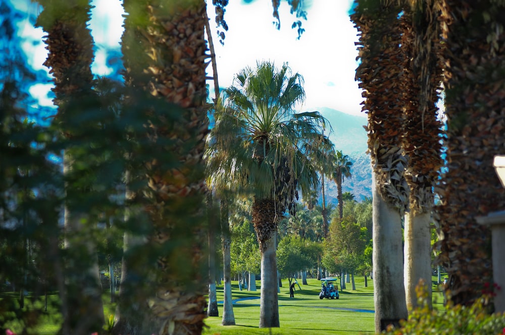 Shadow Mountain Resort - photo 66
