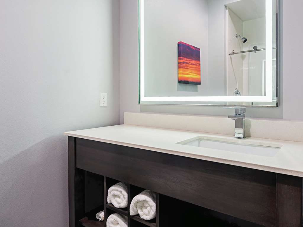 La Quinta Inn & Suites by Wyndham Dallas Wylie - photo 11