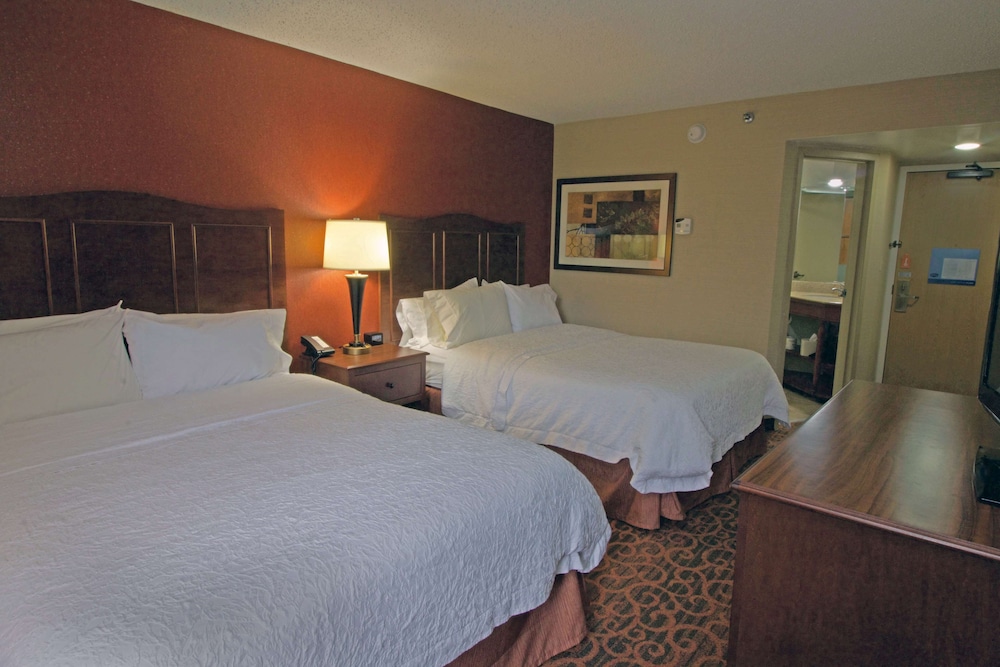 Hampton Inn Norfolk Chesapeake - photo 5
