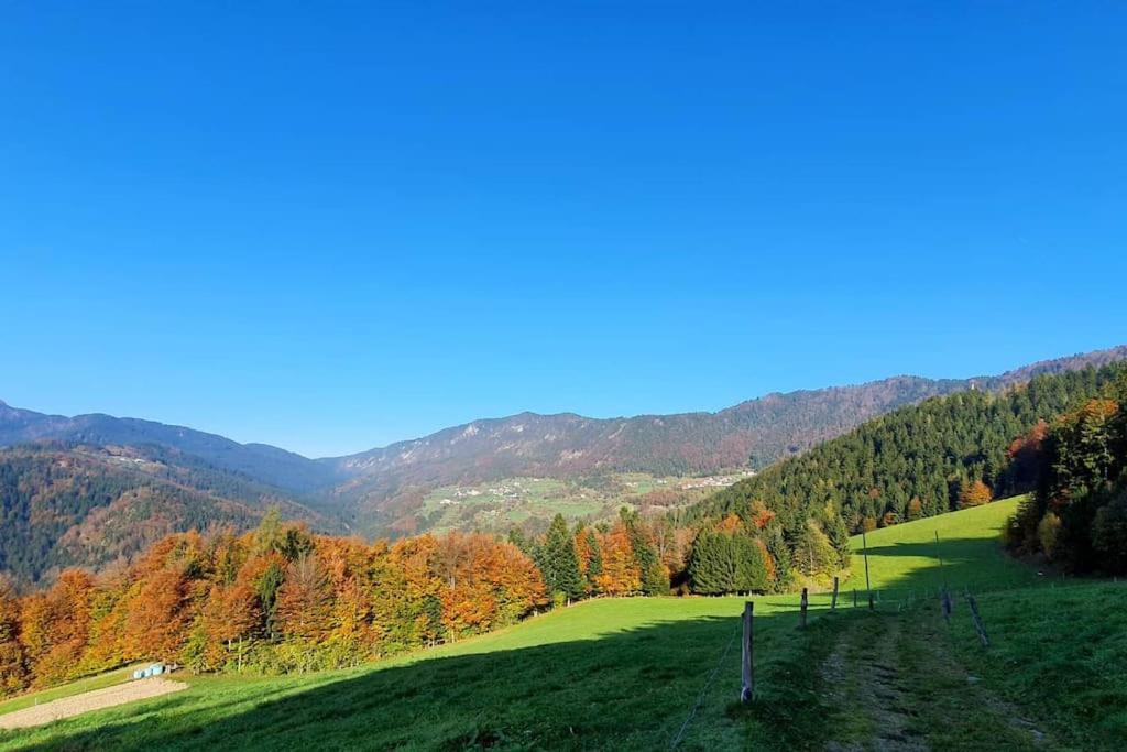 House Pucnk beautiful countryside — 4-Star Luxury Hotel in Zelezniki, Slovenia