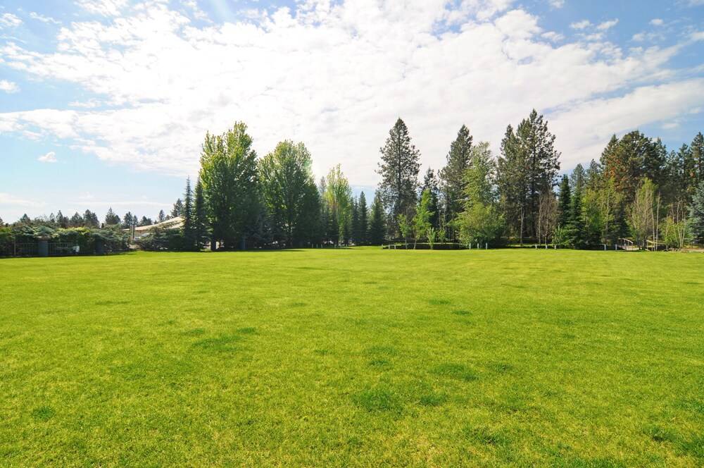 Alderwood RV Express - photo 30