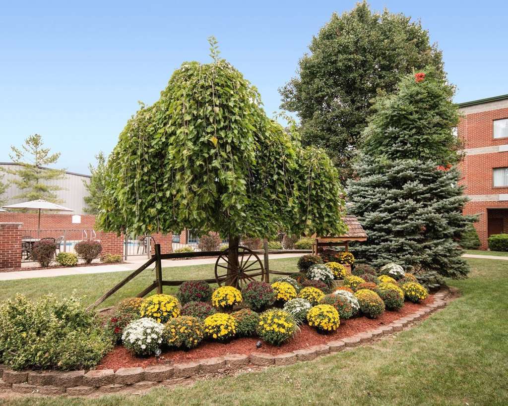 Comfort Suites Parkersburg South - photo 3