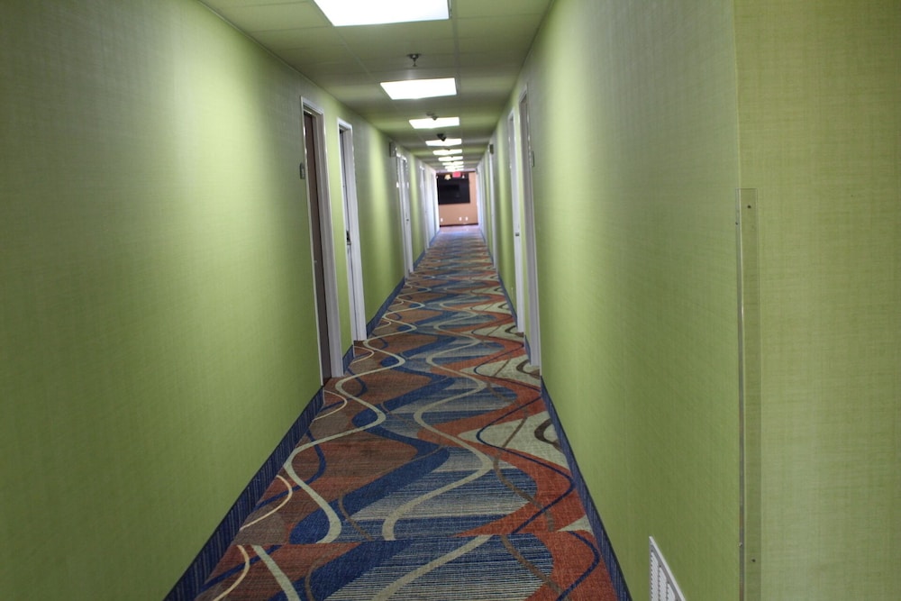Magnolia Inn And Suites - photo 38