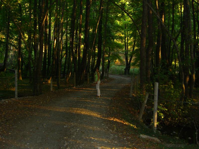 Günlü Pansiyon - last minute hotel in Fethiye