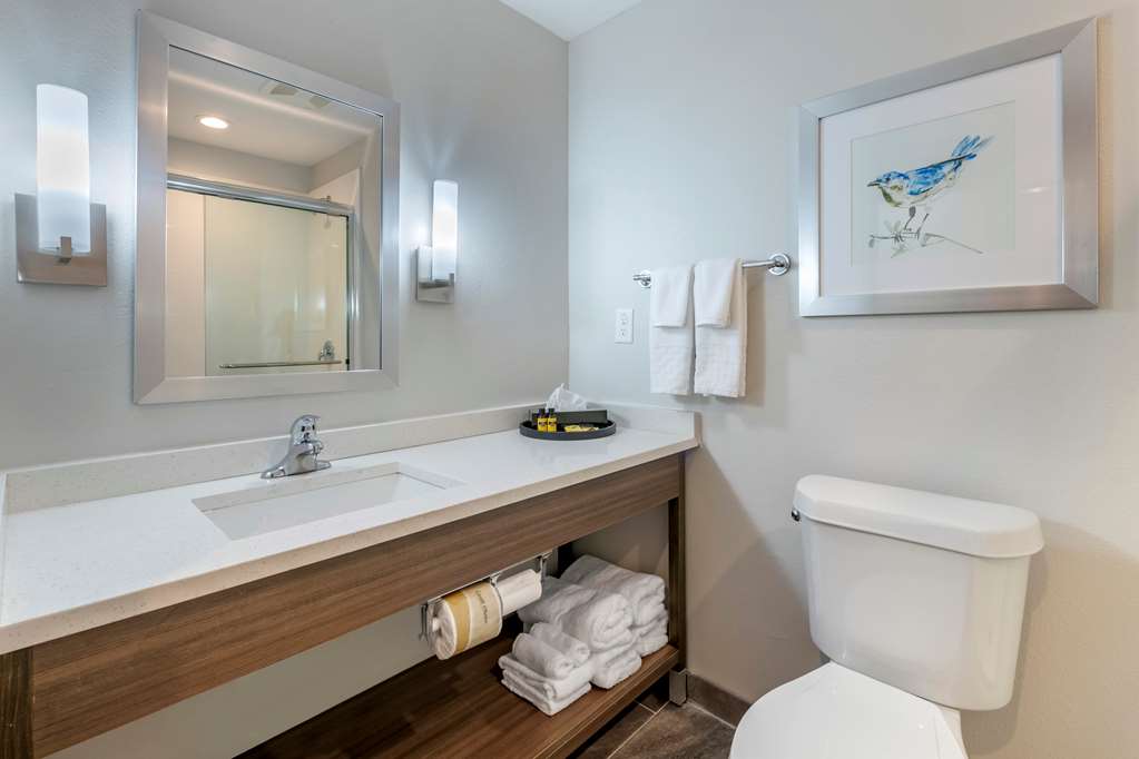 Best Western Plus Lakeland - photo 23