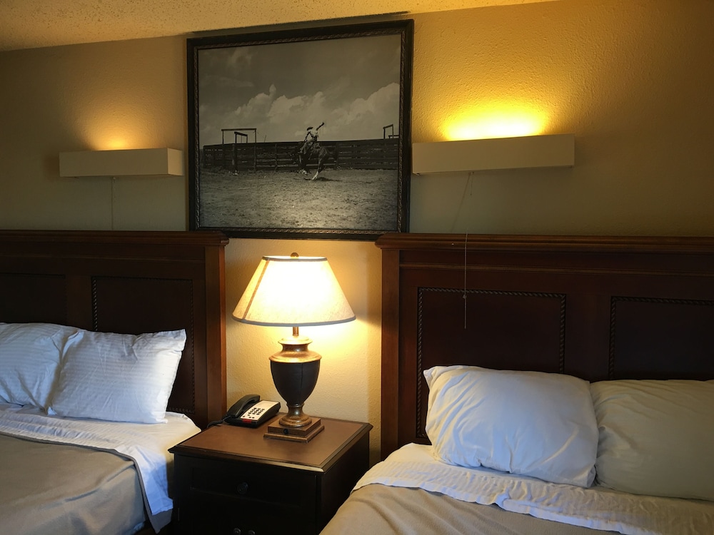 Reddy Inn and Suites - photo 16