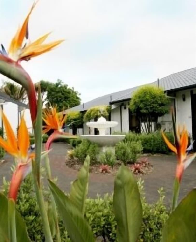 Epsom Motor Inn - last minute hotel in Auckland