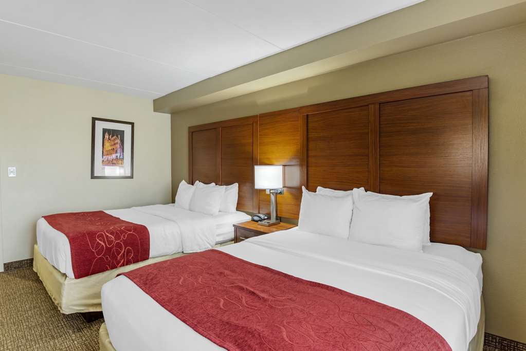 Comfort Suites At Virginia Center Commons - photo 21
