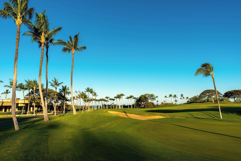 The Westin Hapuna Beach Resort - photo 92