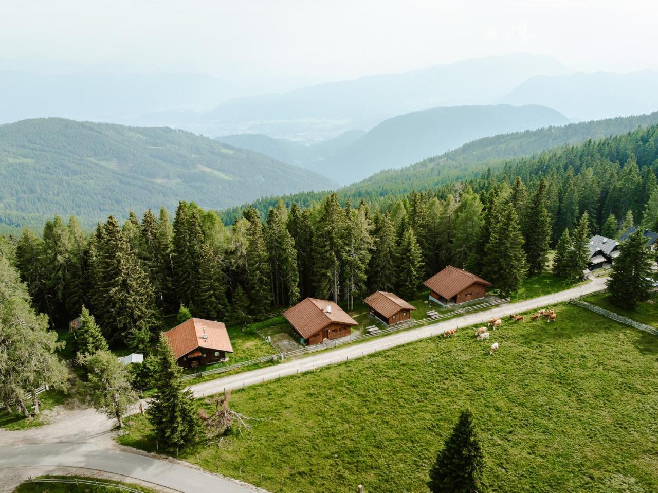 Lima Alpine Lodges Almhaus Gertraud & Theresia — hotel in Arriach