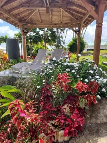 Le Petit Paradis — 4-Star Luxury Hotel in Sainte-Rose, Guadeloupe