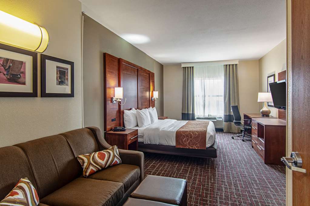 Comfort Suites NW Dallas Near Love Field - photo 20