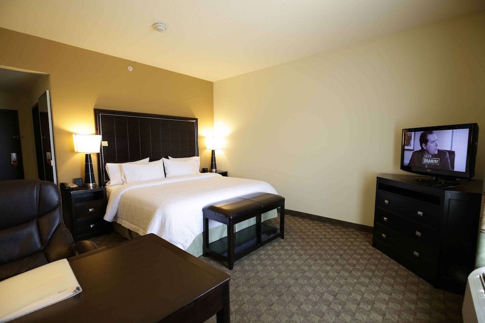 Hampton Inn & Suites McAlester - photo 10