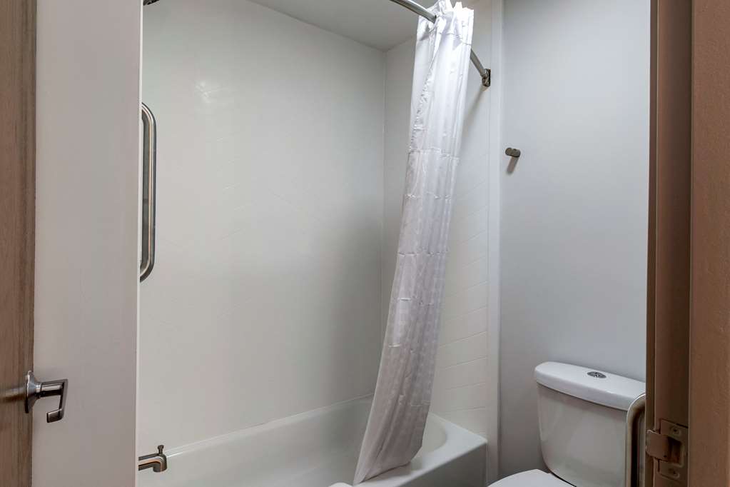 Comfort Inn Mount Pleasant Racine - photo 11