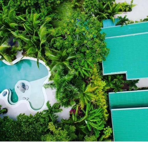 Nosara Verde in Nicoya, Costa Rica