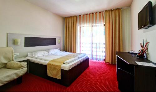 Hotel Carpathia - last minute hotel in Remeti