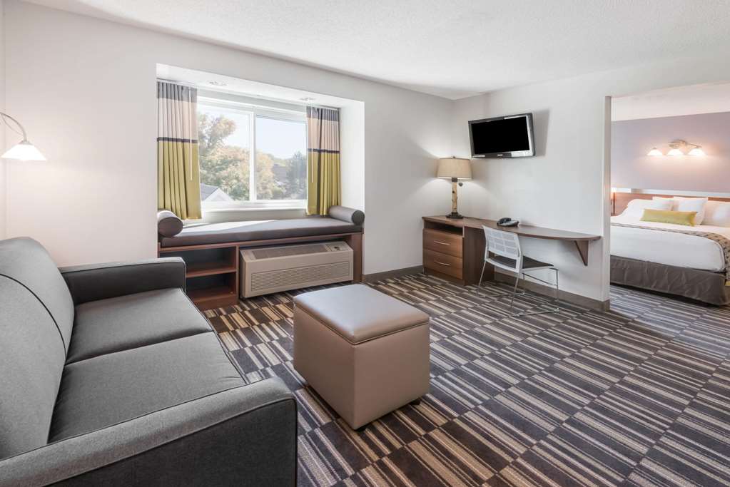 Microtel Inn by Wyndham Victor Rochester - photo 10