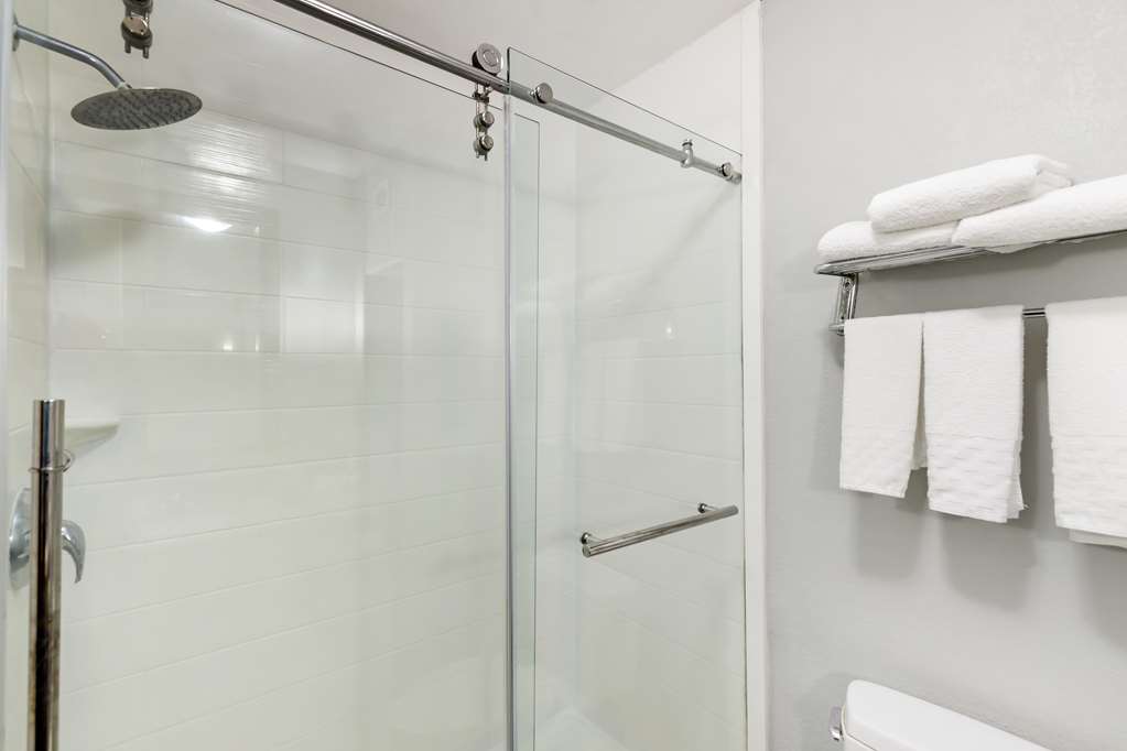 Best Western Medical Center North Inn & Suites Near Six Flags - photo 16