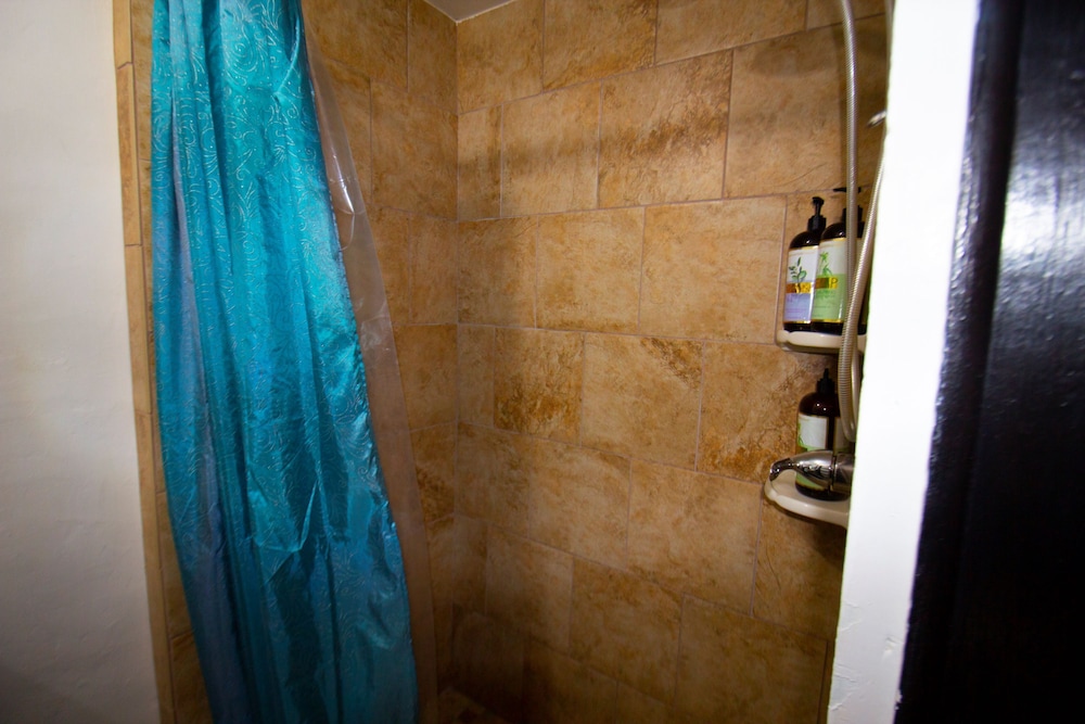 Tazmania Properties - photo 27