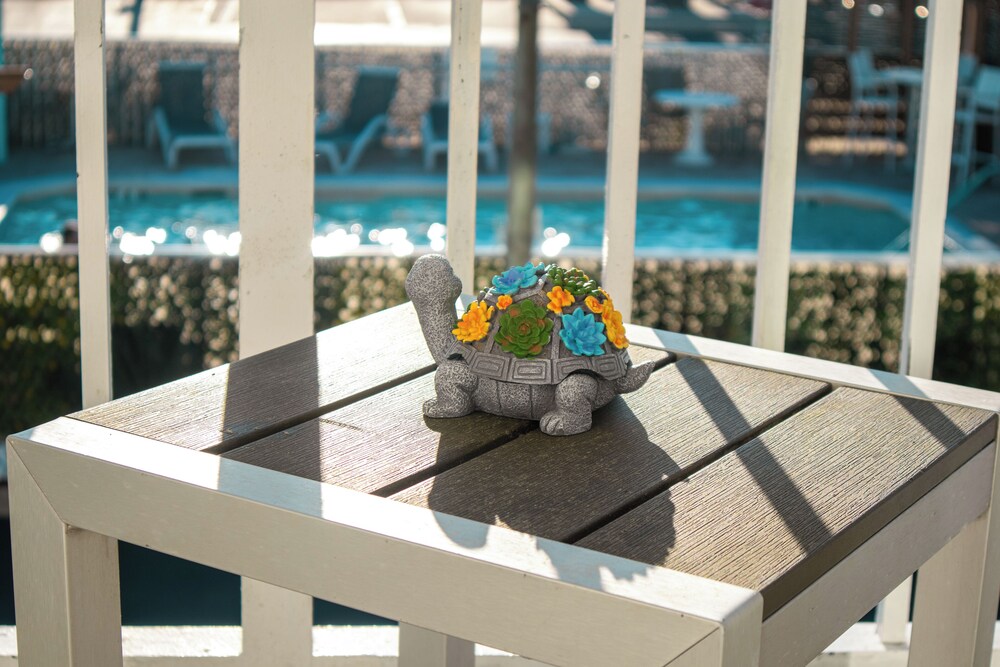 Ocean Sands Beach Boutique Inn 1 Acre Private Beach - photo 66