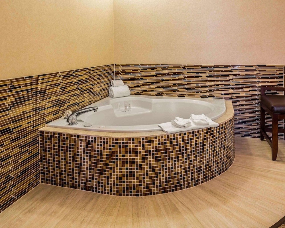 Comfort Suites Stafford Near Sugarland - photo 18