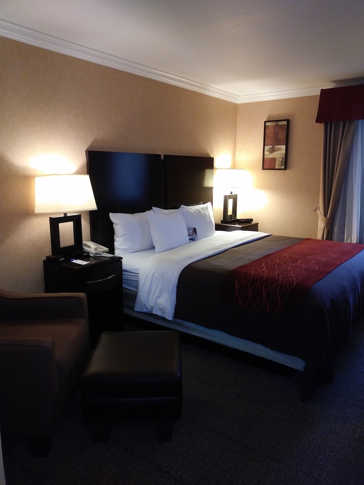 Comfort Inn Columbia Gorge - photo 3