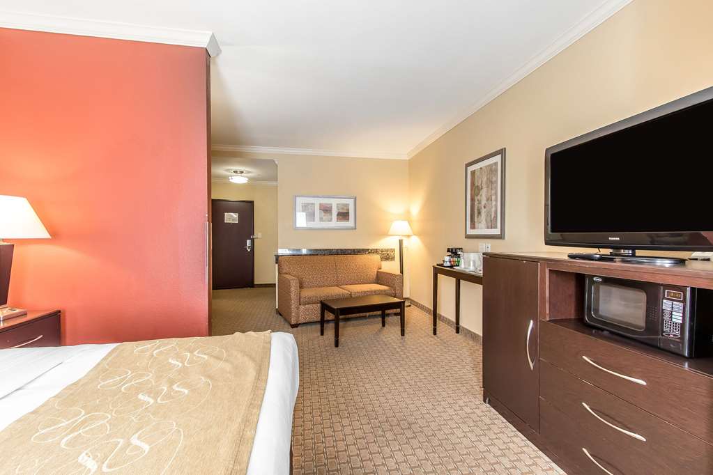 Comfort Suites Lawton Near Fort Sill - photo 15