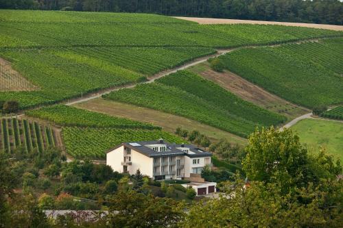 BENZ Weingut & Weinhotel — Lauda-Konigshofen — photo 2