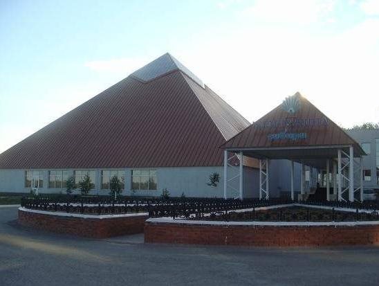 Zhemchuzhina Sibiri Hotel in Nizhnevartovsk, Russia