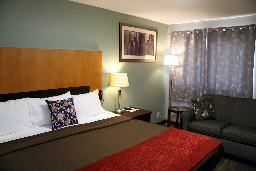 South T Motel - photo 29