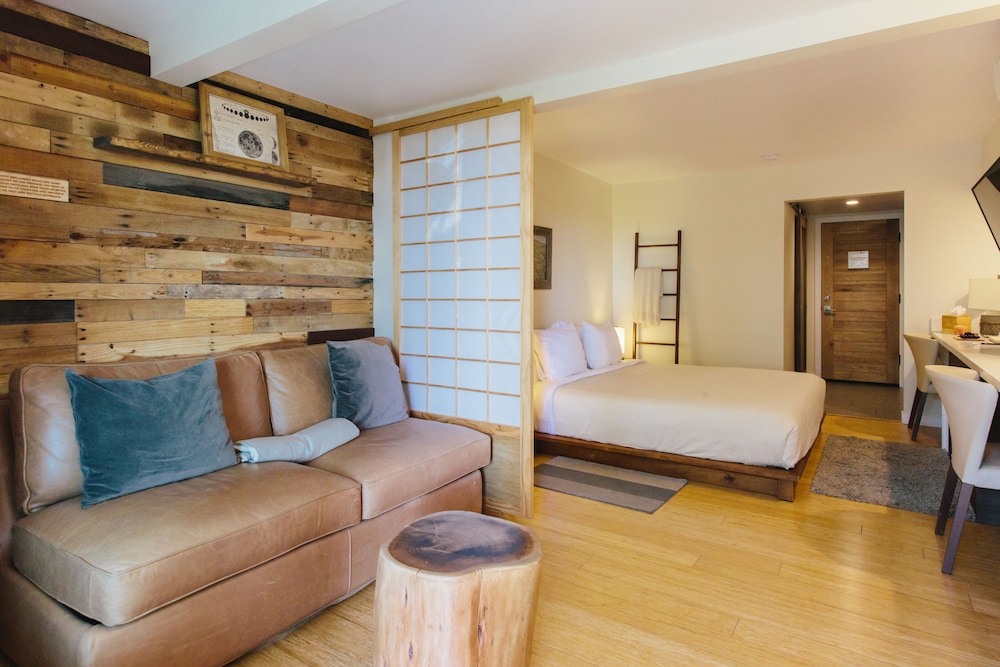 Inn at Moonlight Beach - photo 20