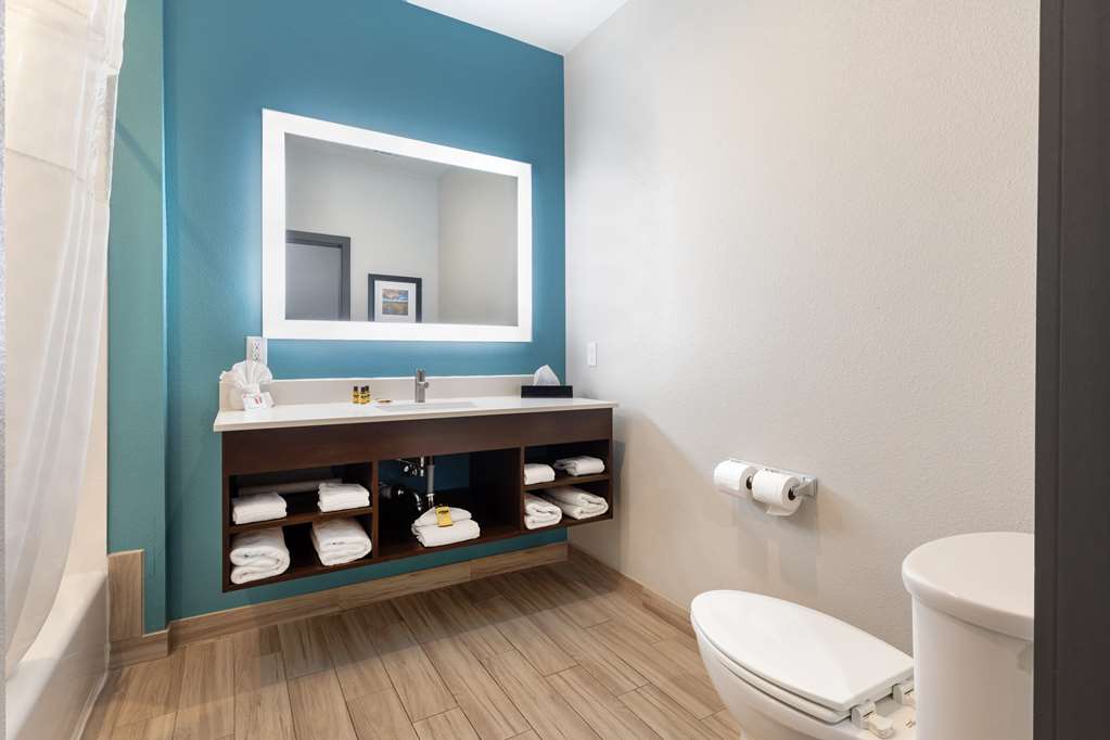 Best Western Plus Medical Center - photo 29