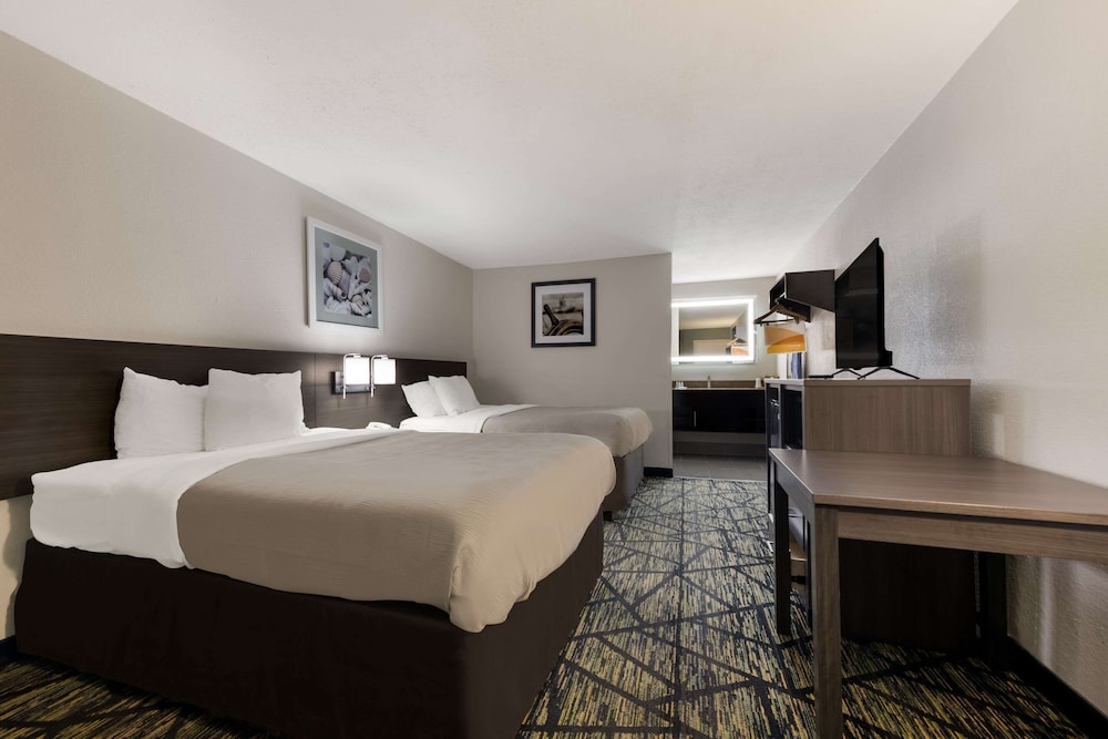 Quality Inn Orange Park Jacksonville - photo 15