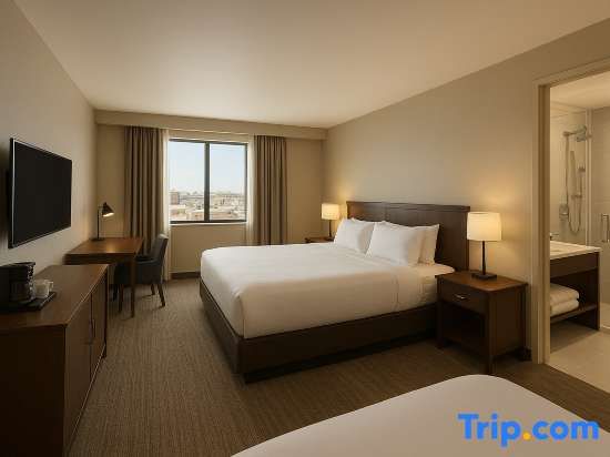 Hotel Urban Lion Igi Airport Delhi