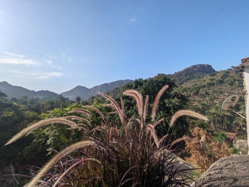 Cave Canvas in Abu, India