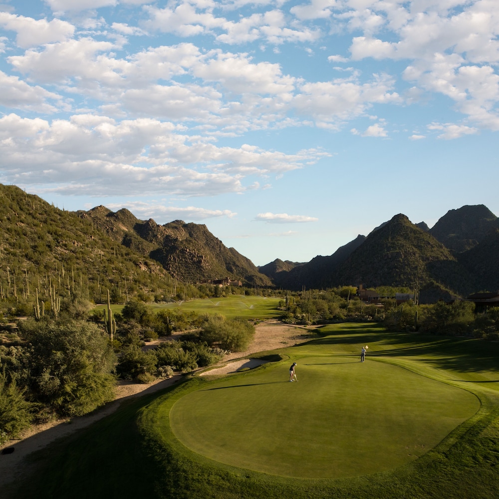 The Ritz Carlton Dove Mountain - photo 62