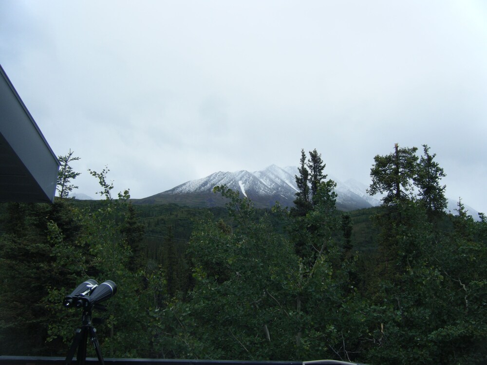 Denali Perch Resort - photo 63