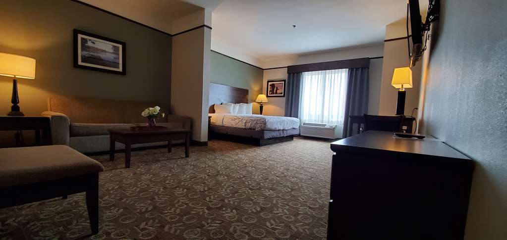 Best Western Plus Emory At Lake Fork Inn & Suites - photo 8