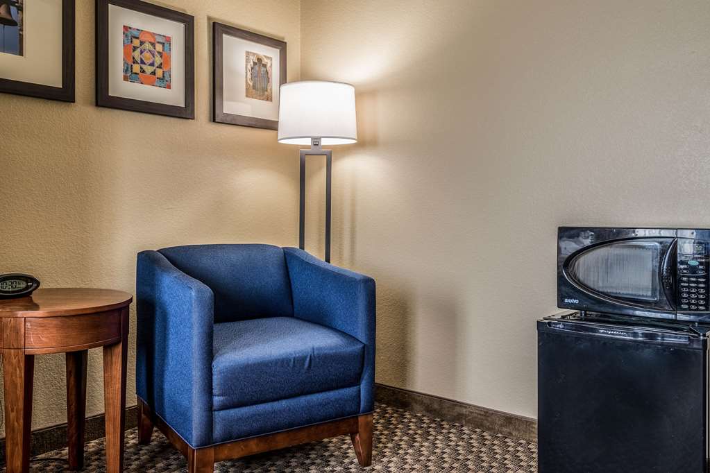 Comfort Suites Near Texas State University - photo 9