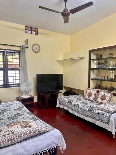 Varma’s Bulbul nest in Manipal, India