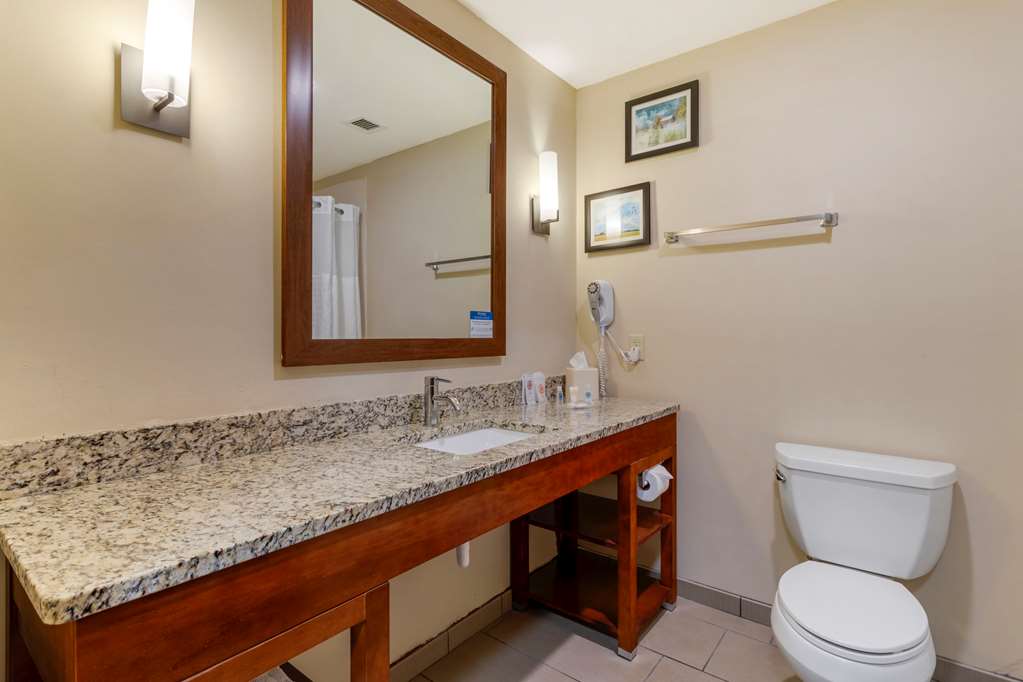 Comfort Suites Kingsport South - photo 17