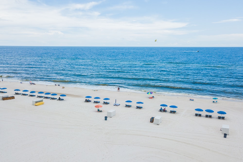 Hilton Garden Inn Orange Beach Beachfront - photo 108