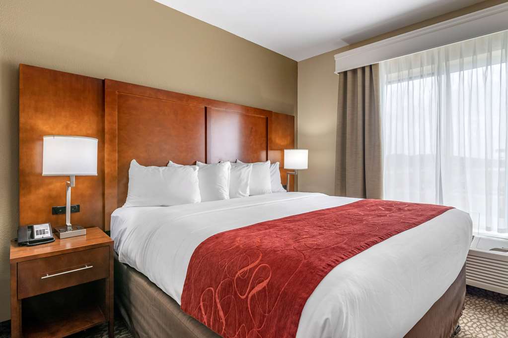 Comfort Suites Florence I 95 - photo 15