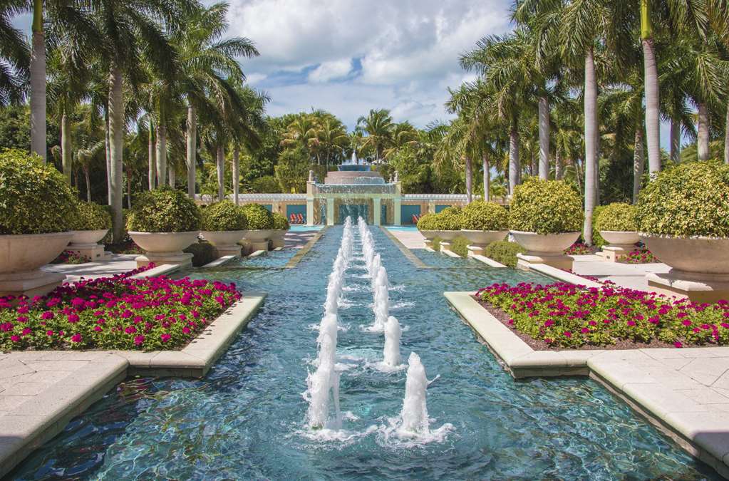 Hyatt Regency Coconut Point Resort & Spa - photo 10